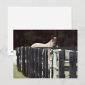 Bauernzaun mit Pferd hinter Sepien Postkarte (Vorne/Hinten)