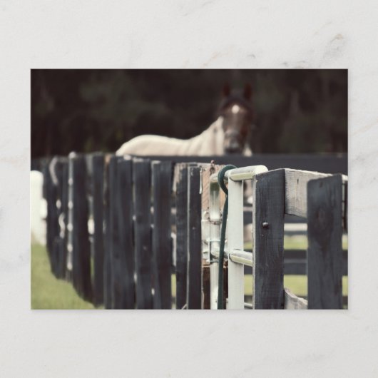 Bauernzaun mit Pferd hinter Sepien Postkarte (Vorderseite)