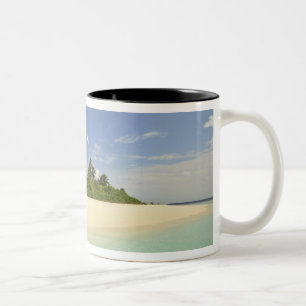 Baughagello Insel, Süd Huvadhoo Atoll, 2 Zweifarbige Tasse