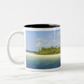 Baughagello Island, South Huvadhoo Atoll, 3 Zweifarbige Tasse (Links)