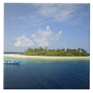 Baughagello Island, South Huvadhoo Atoll, Fliese