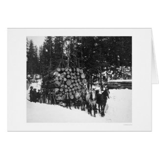 Bauholz, das Seward, Alaska 1919 schleppt