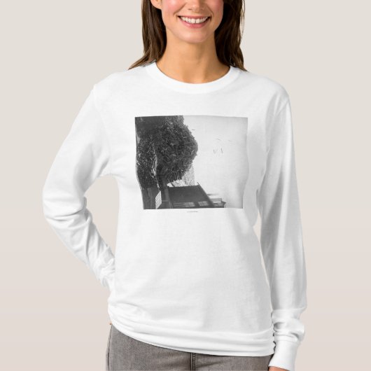 Bauholz-Stapel außerhalb der Fotografie De Smet T-Shirt (Vorderseite)