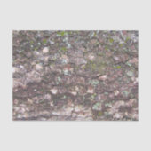 Baum 2 - Moos auf Rinde Seidenpapier (Vorderseite)