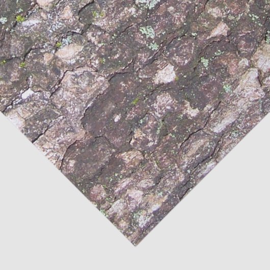 Baum 2 - Moos auf Rinde Seidenpapier (Ausschnitt)