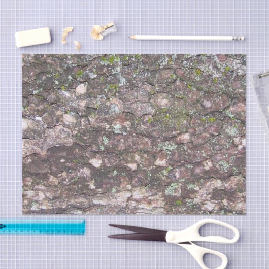 Baum 2 - Moos auf Rinde Seidenpapier (Handwerk)