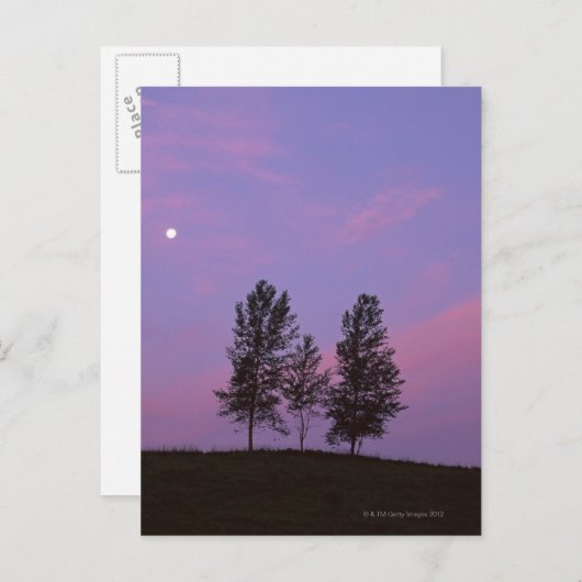 Baum 2 postkarte (Vorne/Hinten)