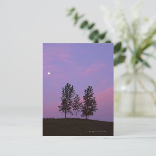 Baum 2 postkarte (Stehend Vorderseite)