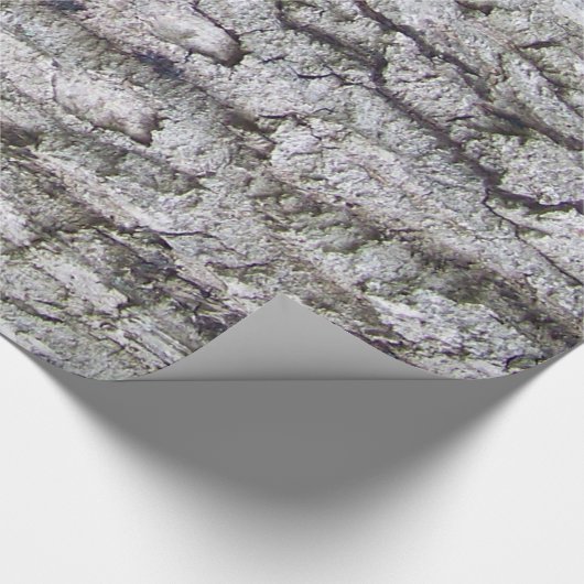 Baum 5 - Eichenbaumrinde Geschenkpapier (Ecke)