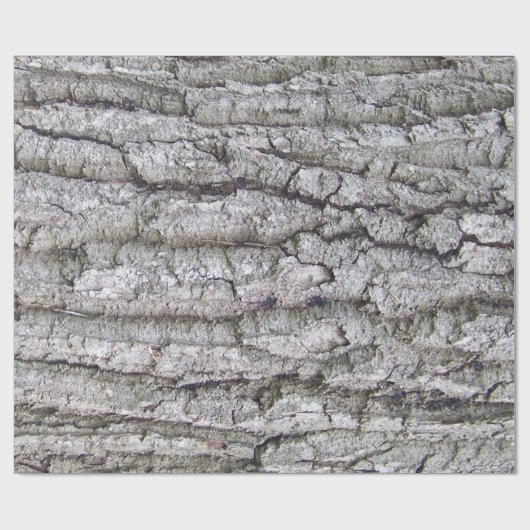 Baum 5 - Eichenbaumrinde Geschenkpapier (Flach)