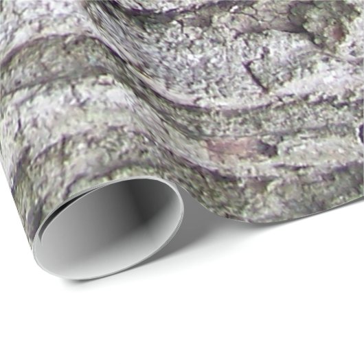 Baum 5 - Eichenbaumrinde Geschenkpapier (Rolleneckpunkt)