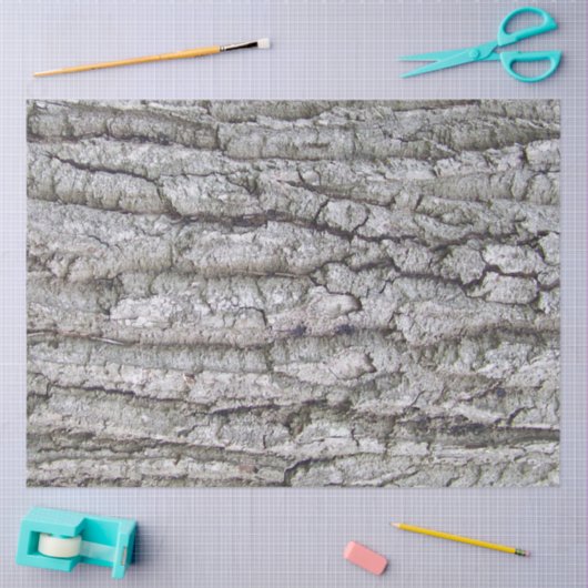 Baum 5 - Eichenbaumrinde Seidenpapier (Basteln)