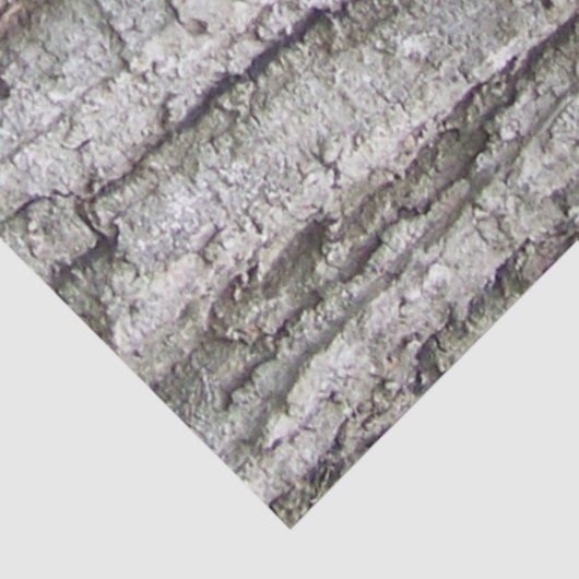 Baum 5 - Eichenbaumrinde Seidenpapier (Ausschnitt)