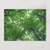 Baum 7 postkarte (Vorderseite)