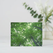 Baum 7 postkarte (Stehend Vorderseite)