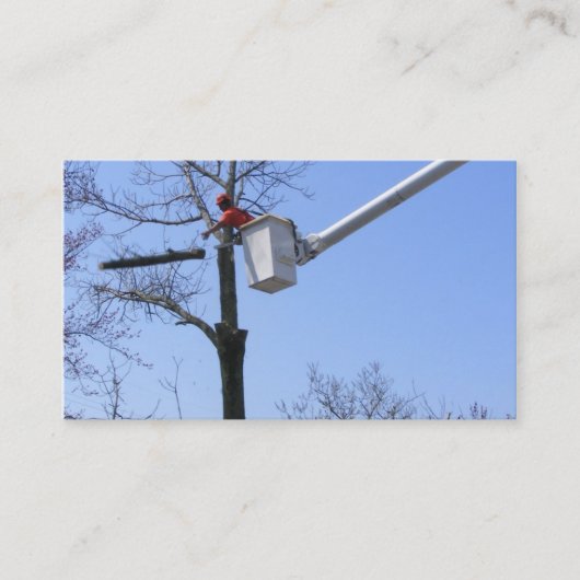 Baum-Abbau ~ Geschäfts-Karte Visitenkarte (Vorderseite)