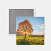 Baum am Feuer Magnet (Vorderseite/Rückseite)