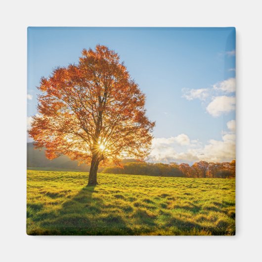 Baum am Feuer Magnet (Vorne)