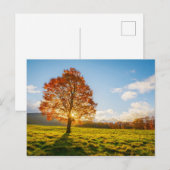 Baum am Feuer Postkarte (Vorne/Hinten)
