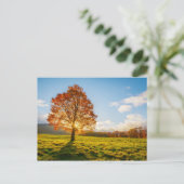 Baum am Feuer Postkarte (Stehend Vorderseite)