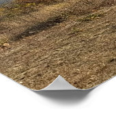 Baum am Fluss Poster (Ecke)