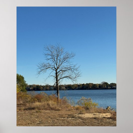 Baum am Fluss Poster (Vorne)