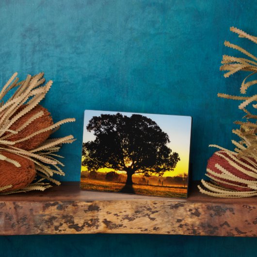 Baum am Morgen Fotoplatte (Seite)