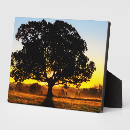 Baum am Morgen Fotoplatte (Seite)