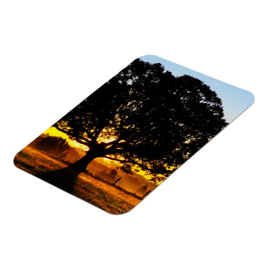 Baum am Morgen Magnet (Linke Seite)