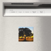 Baum am Morgen Magnet (In Situ (Geschirrspüler))