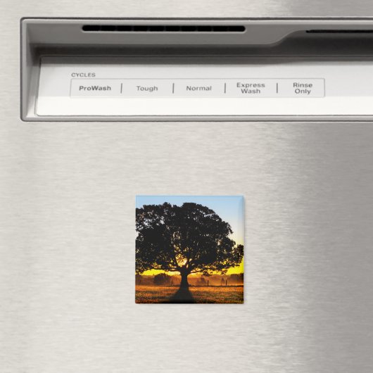 Baum am Morgen Magnet (In Situ (Geschirrspüler))