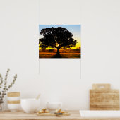 Baum am Morgen Poster (Küche)