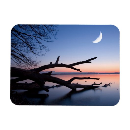 Baum am Starnberger See | Muensing Bavaria Deutsch Magnet (Horizontal)
