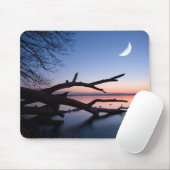 Baum am Starnberger See | Muensing Bavaria Deutsch Mousepad (Mit Mouse)
