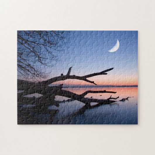 Baum am Starnberger See | Muensing Bavaria Deutsch Puzzle (Horizontal)