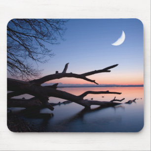 Baum am Starnberger See   Muensing Bayern Deutschl Mousepad