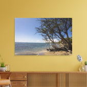 Baum am Strand entlang der Küste Leinwanddruck (Insitu (Wohnzimmer))