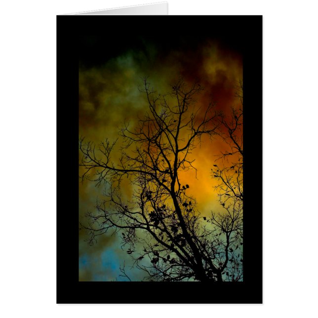 Baum am Sturm (Vorne)