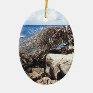 Baum Arubas Divi Divi in dem Ozean Keramikornament