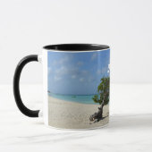 Baum Arubas Divi Divi Tasse (Links)