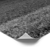 Baum auf dem Hügel Poster (Ecke)