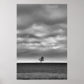 Baum auf dem Hügel Poster (Vorne)
