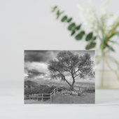 Baum auf dem Hügel Postkarte (Stehend Vorderseite)