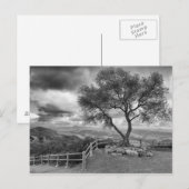 Baum auf dem Hügel Postkarte (Vorne/Hinten)