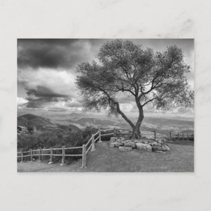 Baum auf dem Hügel Postkarte