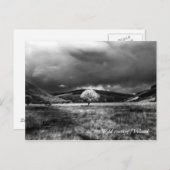 Baum auf dem Land Postkarte (Vorne/Hinten)