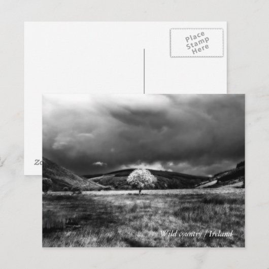 Baum auf dem Land Postkarte (Vorne/Hinten)
