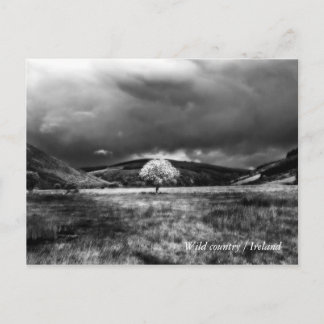 Baum auf dem Land Postkarte