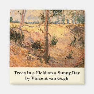 Baum auf einem Feld an einem sonnigen Tag von Vinc Magnet