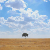 Baum auf einem geernteten Weizenfeld Aufkleber (Vorderseite)